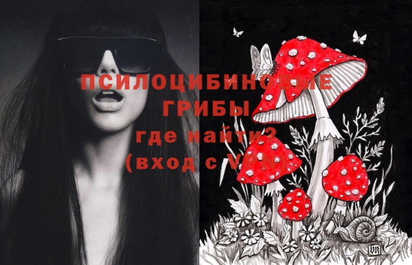 mix Белокуриха