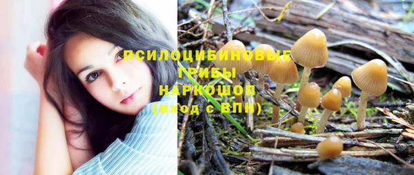 спиды Белоозёрский