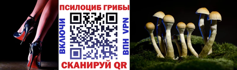 купить   Сердобск  Галлюциногенные грибы прущие грибы 