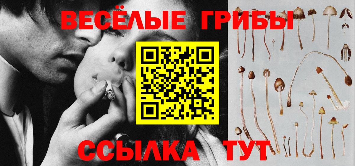 Сердобск  Галлюциногенные грибы GOLDEN TEACHER  магазин    Вход с VPN  Галлюциногенные грибы MAGIC MUSHROOMS 